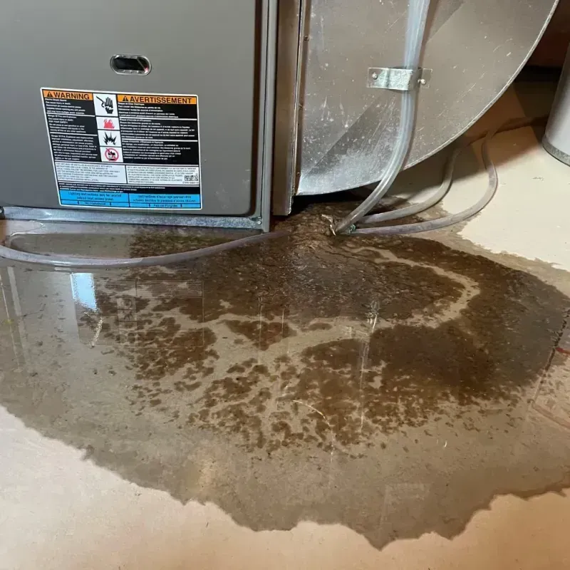 Appliance Leak Cleanup in Remsenburg-Speonk, NY